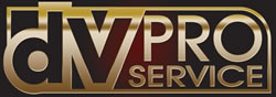 dV PROFESSIONAL SERVICE